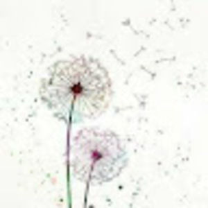 Meet your Posher, Ruby